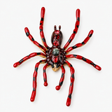 Broche Aranha com Pedrarias – Atitude