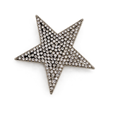 Broche Estrela com Strass – Fulgor