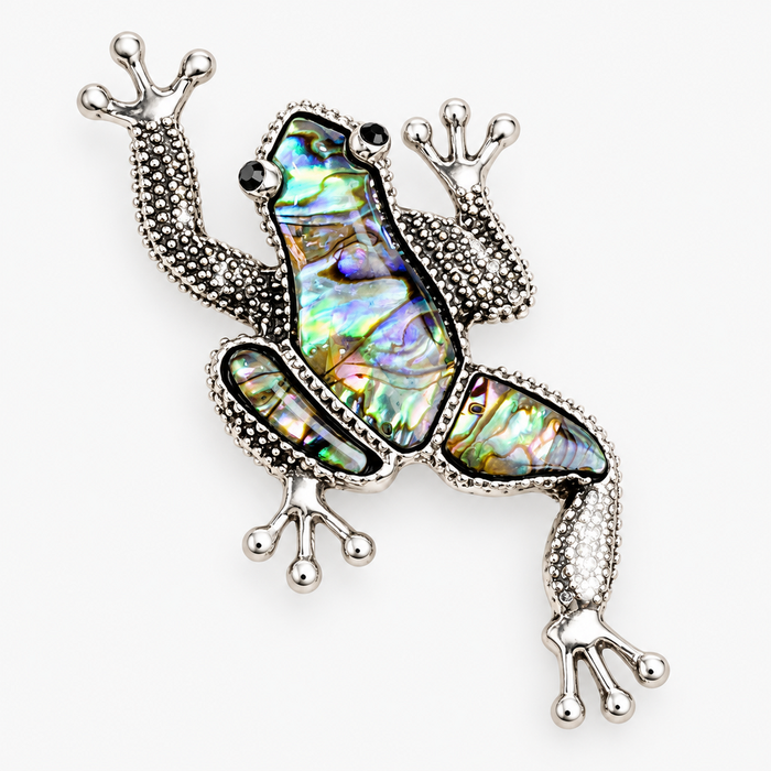Broche Sapo Metal Prateado Madrepérola – Simbolismo